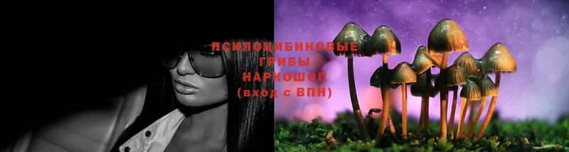 Псилоцибиновые грибы MAGIC MUSHROOMS  закладка  Жирновск 